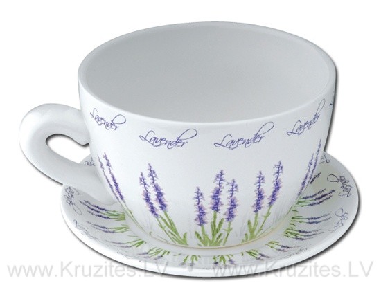 Krūzīte